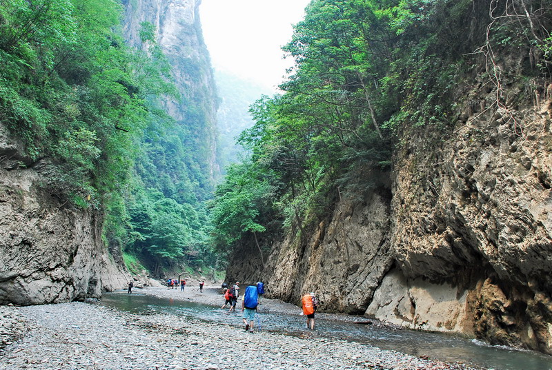 dsc_0333.jpg