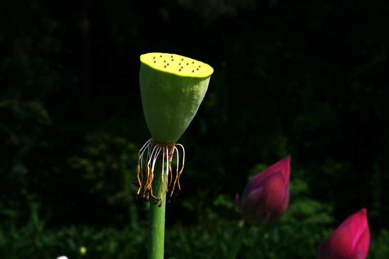 neo_img_img_5169.jpg