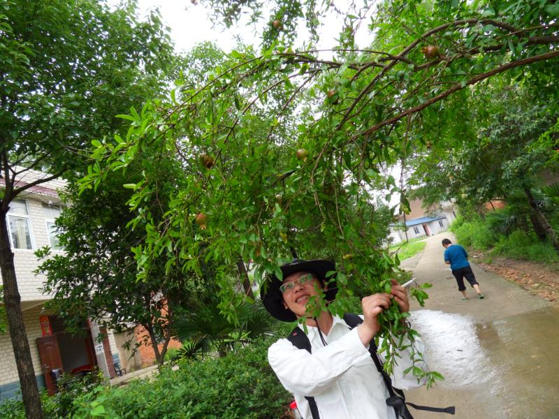 sdc10055.jpg