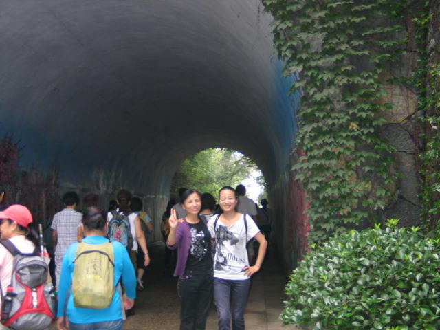 20110619ĥɽͽ 003.jpg