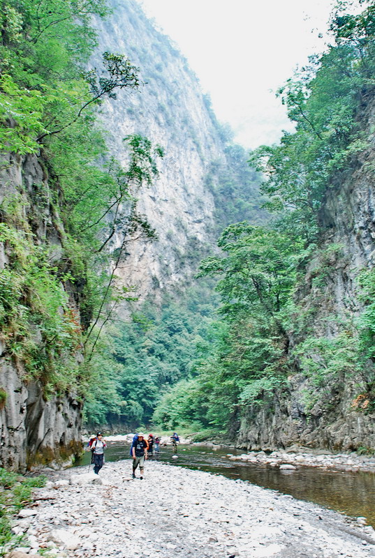 dsc_0377.jpg
