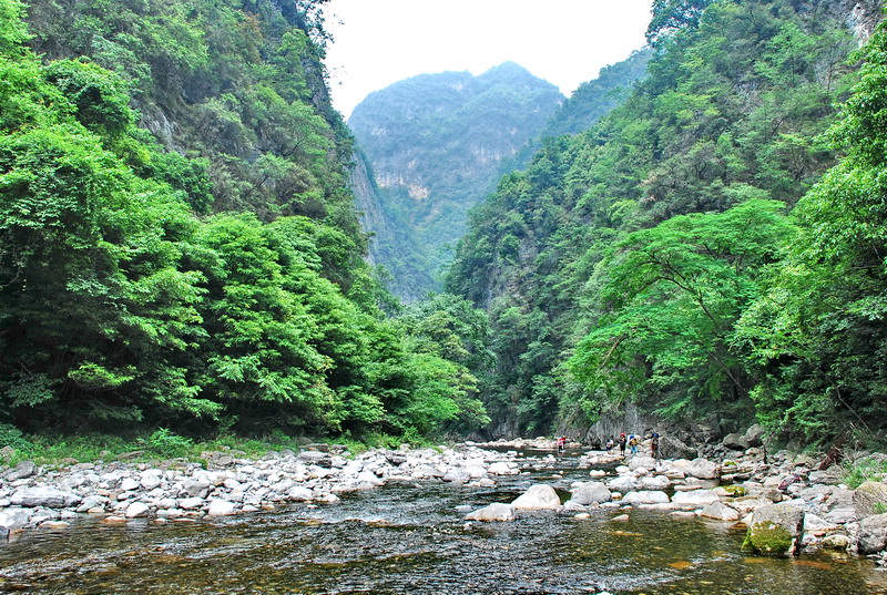 dsc_0379.jpg