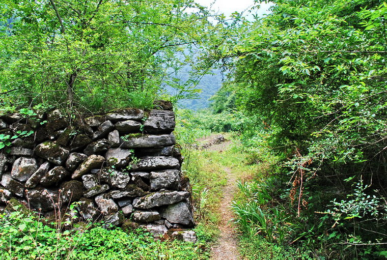 dsc_0382.jpg