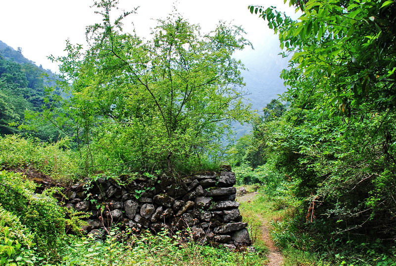 dsc_0383.jpg