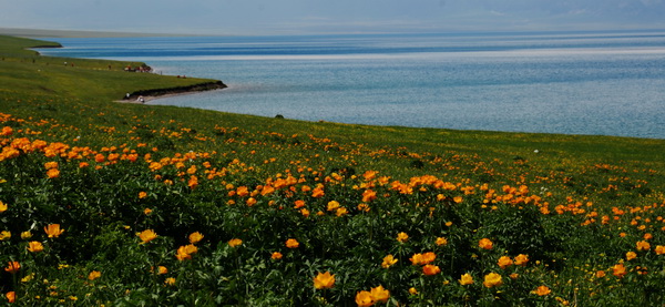 dsc_0230-1-1.jpg