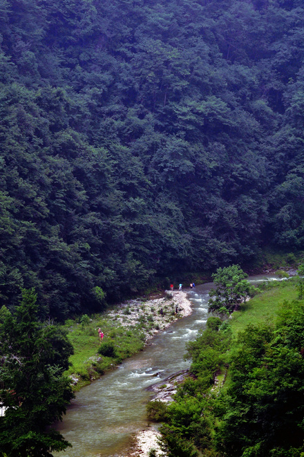 dsc_8283.jpg