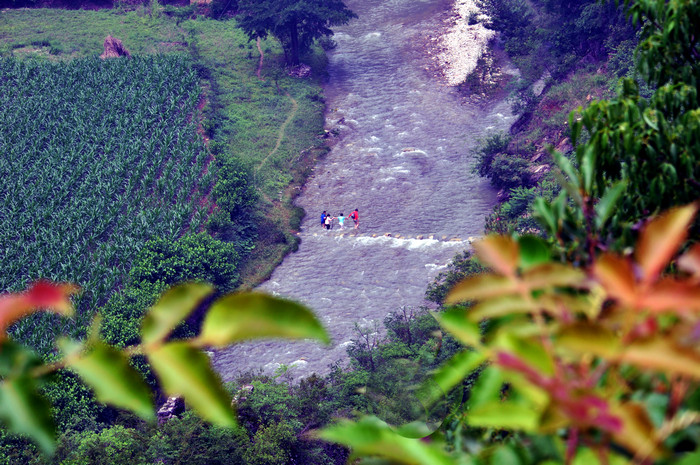 dsc_8295.jpg