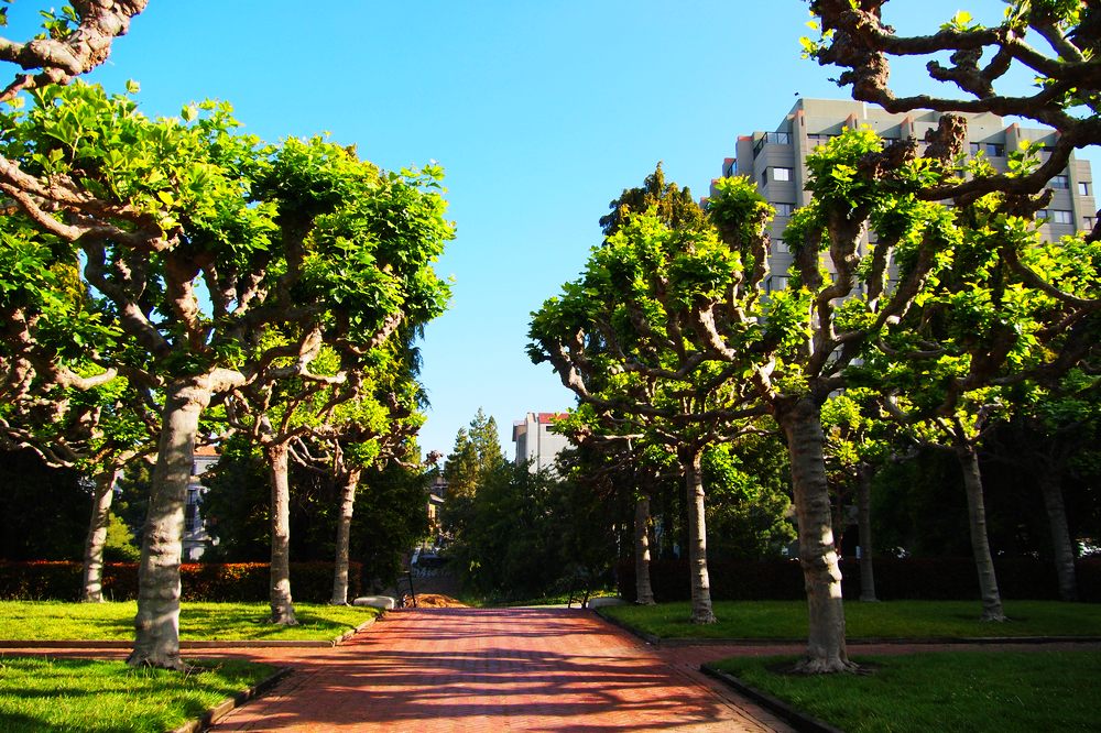 k1138624.jpg