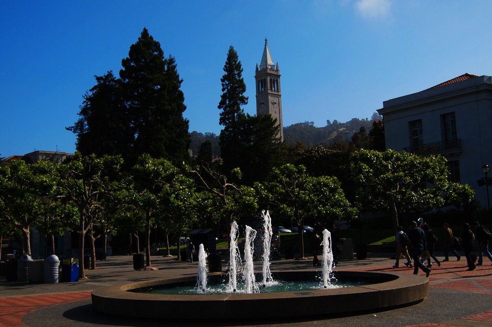 k1138662.jpg