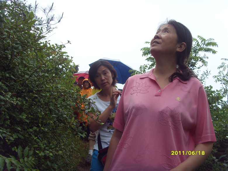 sdc12203_.jpg