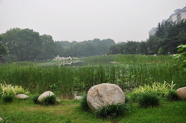dsc_0499.jpg