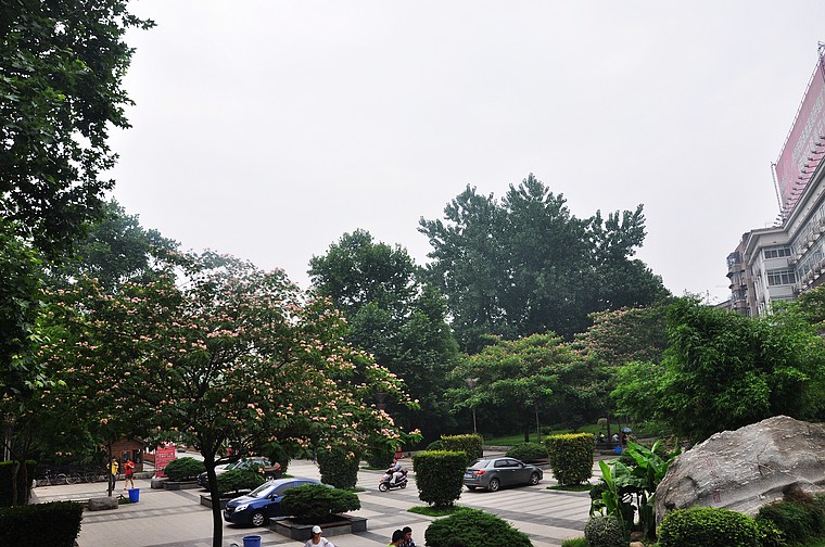 dsc_1045.jpg