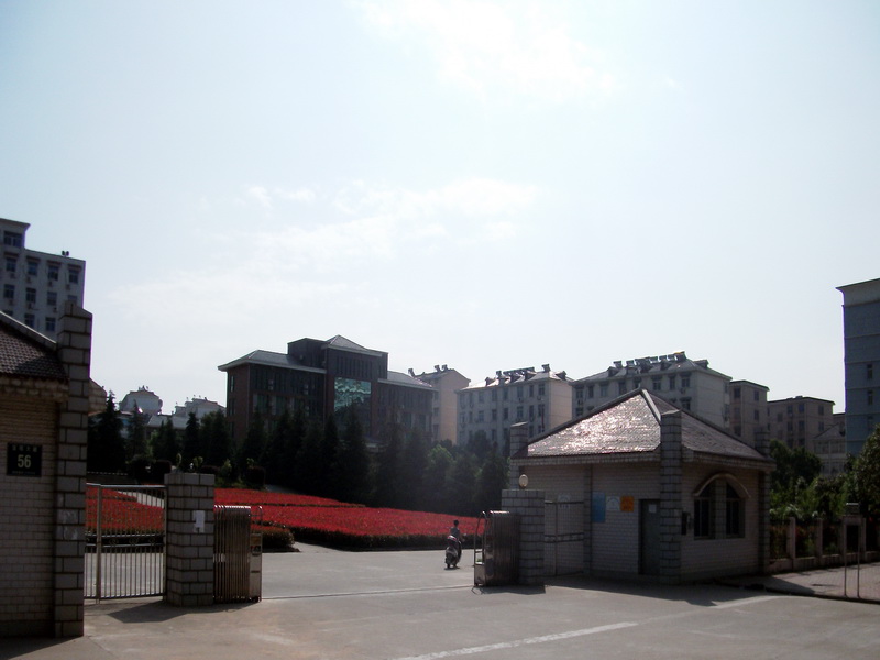 dscf0713.jpg