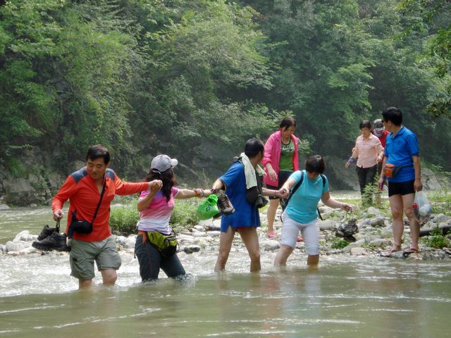 dsc06534.jpg