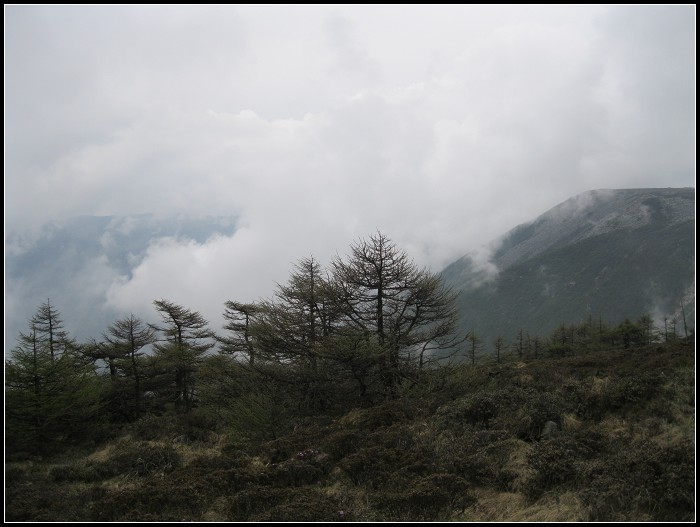 Ƭ 024.jpg