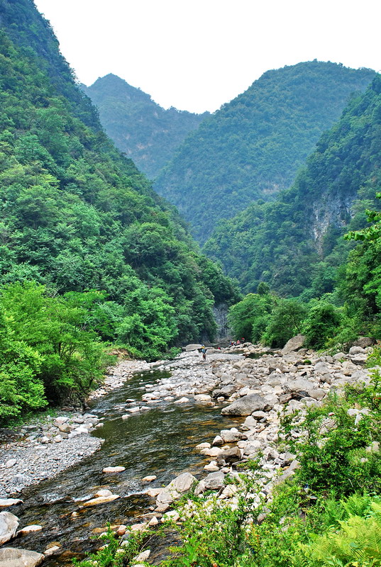dsc_0388.jpg