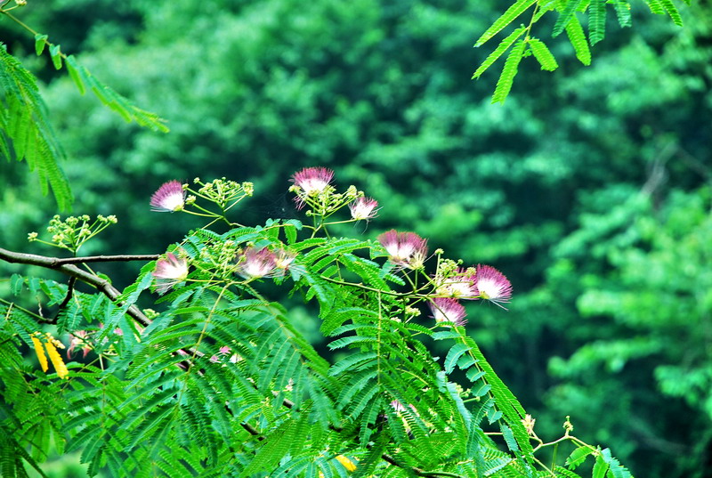 dsc_0397.jpg