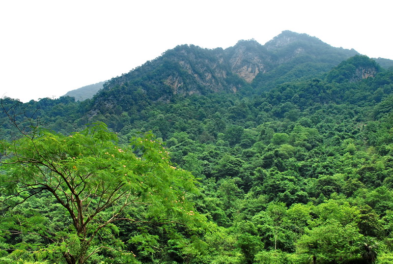 dsc_0400.jpg