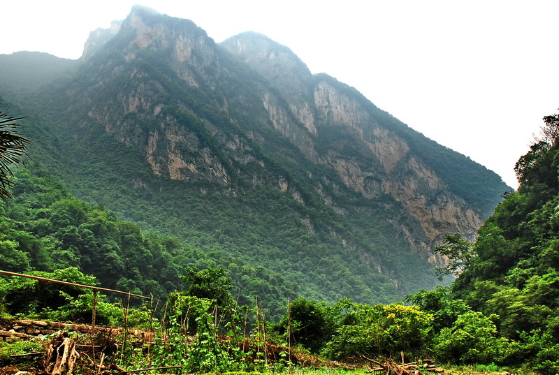 dsc_0406.jpg