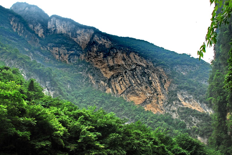 dsc_0420.jpg