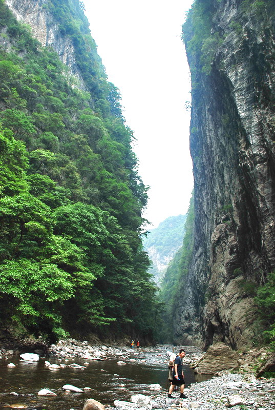 dsc_0425.jpg