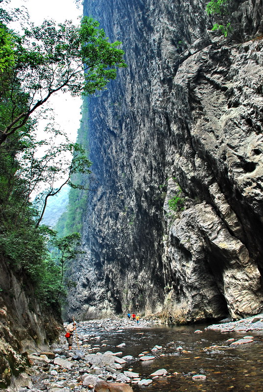 dsc_0428.jpg