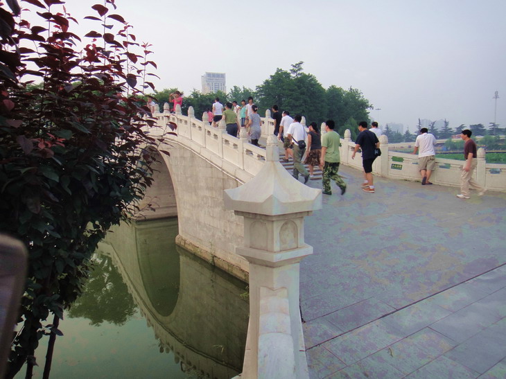 dsc01415.jpg