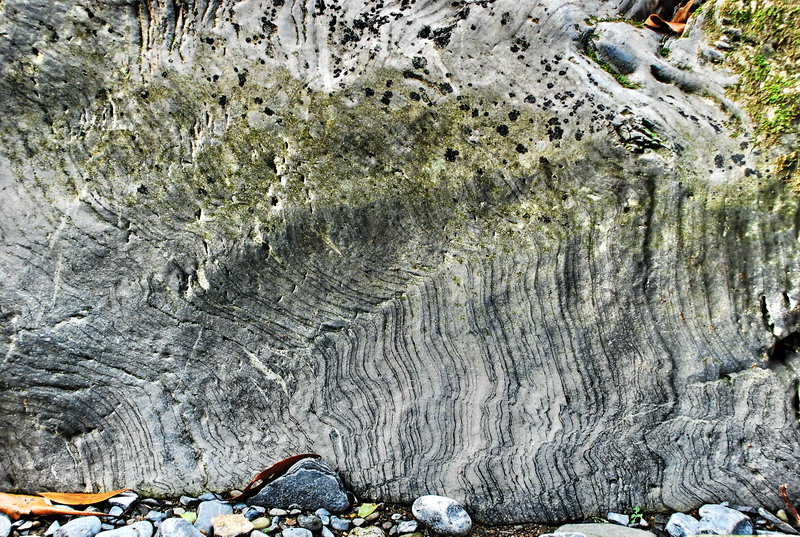 dsc_0429.jpg