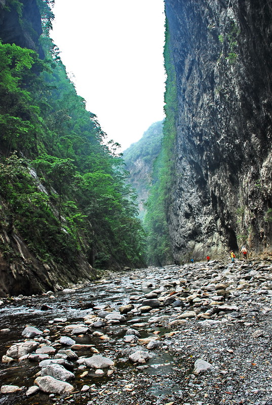 dsc_0430.jpg