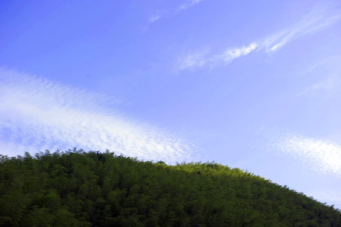 dsc_6419a.jpg
