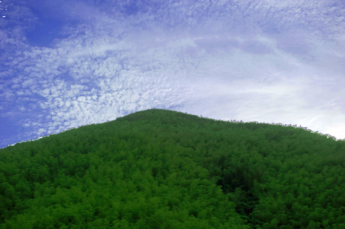 dsc_6427a.jpg