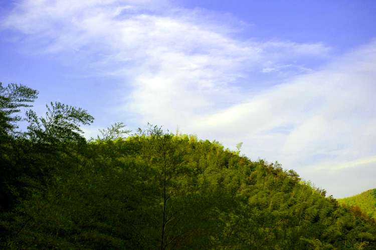dsc_6428a.jpg