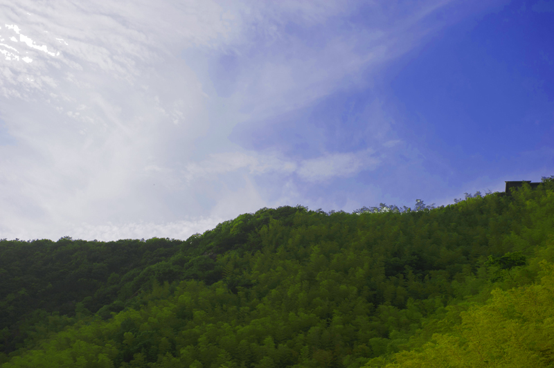 dsc_6435a.jpg