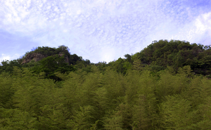dsc_6440a.jpg