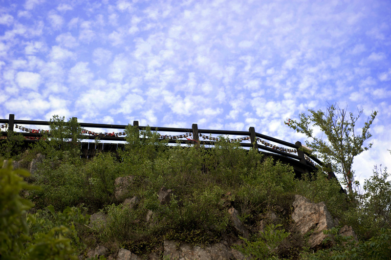 dsc_6454a.jpg