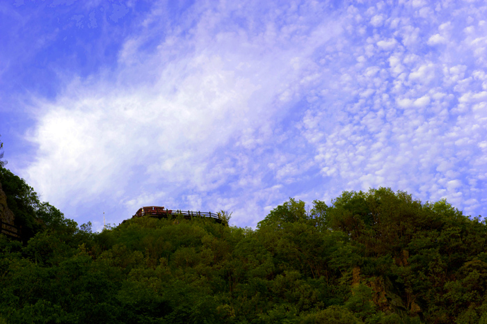 dsc_6486a.jpg
