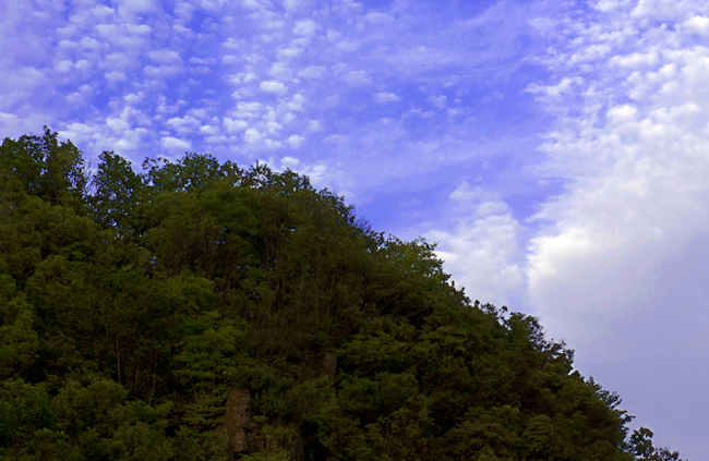 dsc_6485a.jpg