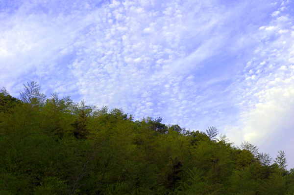 dsc_6489a.jpg