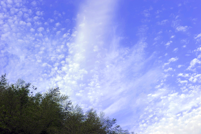 dsc_6490a.jpg