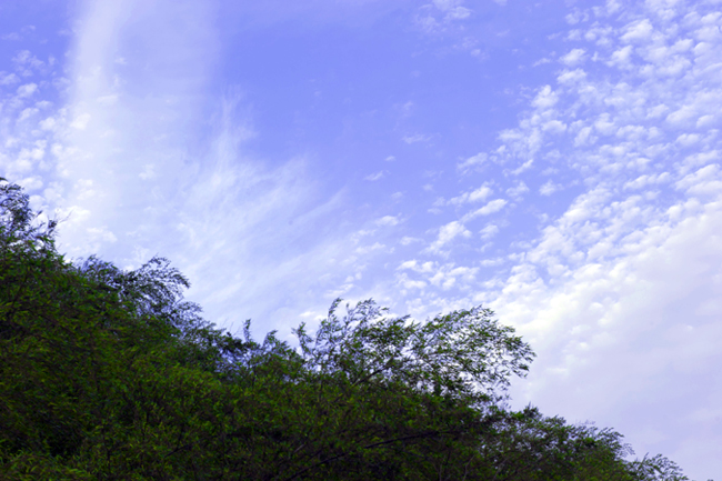 dsc_6493a.jpg