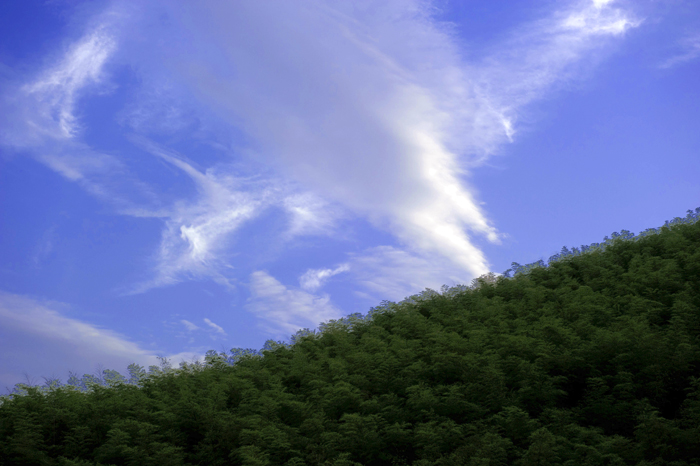 dsc_6515a.jpg
