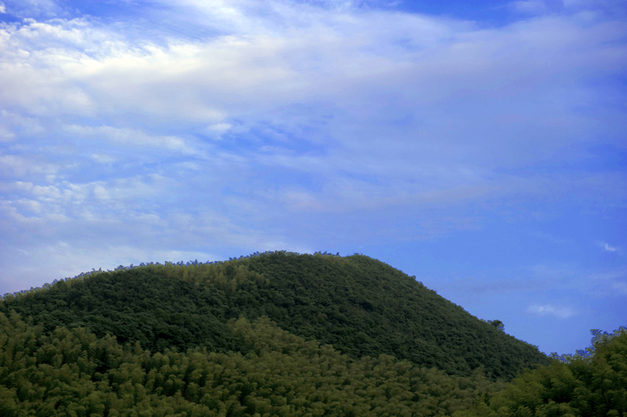 dsc_6519_1a.jpg