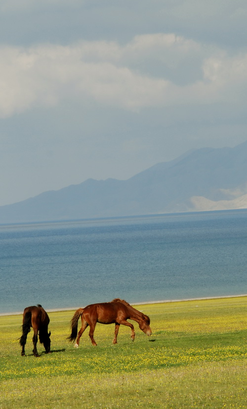 dsc_0280-1-1.jpg