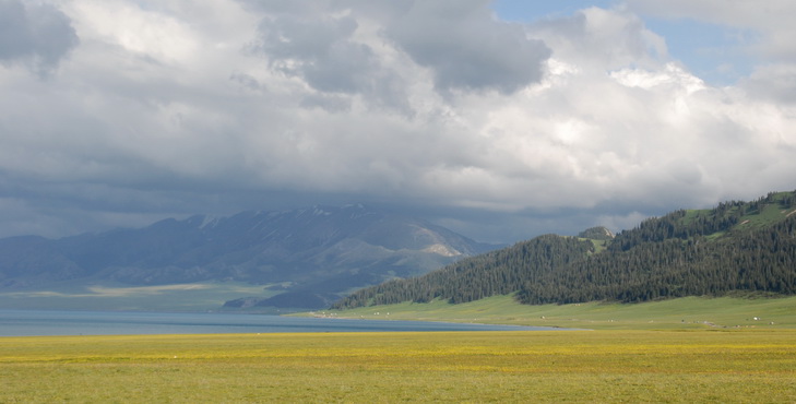 dsc_0312-1.jpg