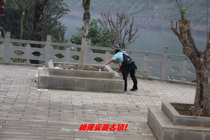 neo_img__mg_7254.jpg