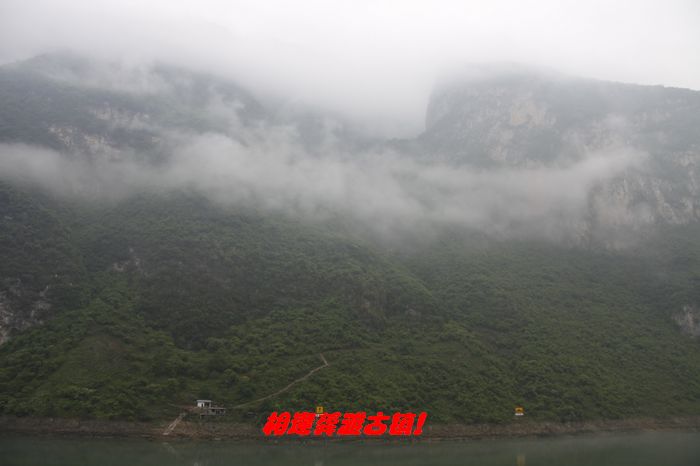 neo_img__mg_7258.jpg