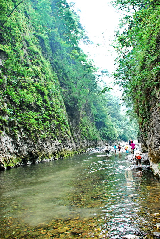 dsc_0444.jpg