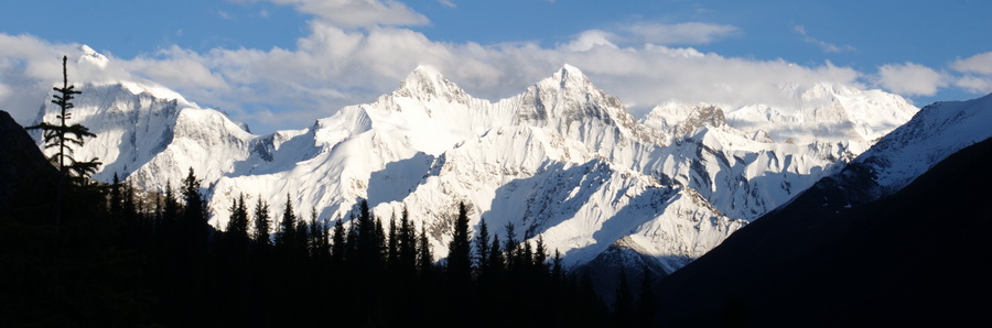 dsc_0408-1-1.jpg