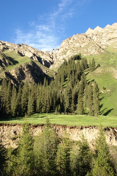 dsc_0396-1.jpg
