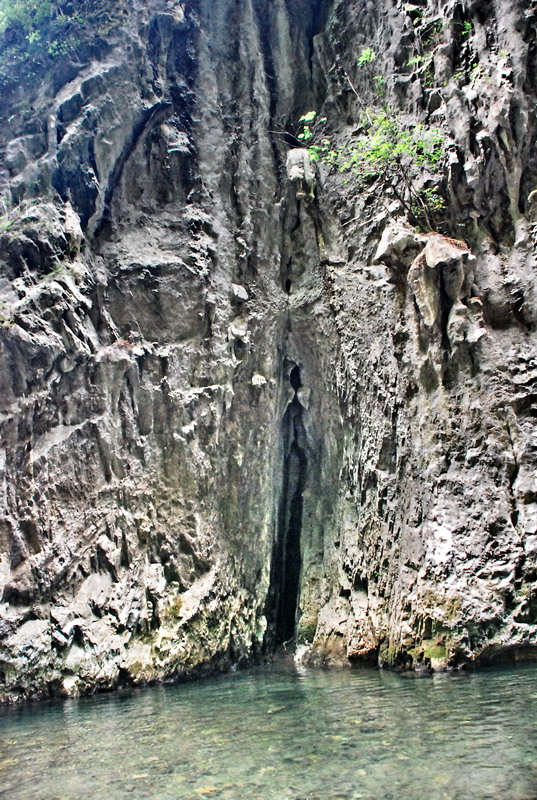 dsc_0475.jpg